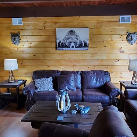 Lazy Bear Cabin سيفيرفيل المظهر الخارجي الصورة