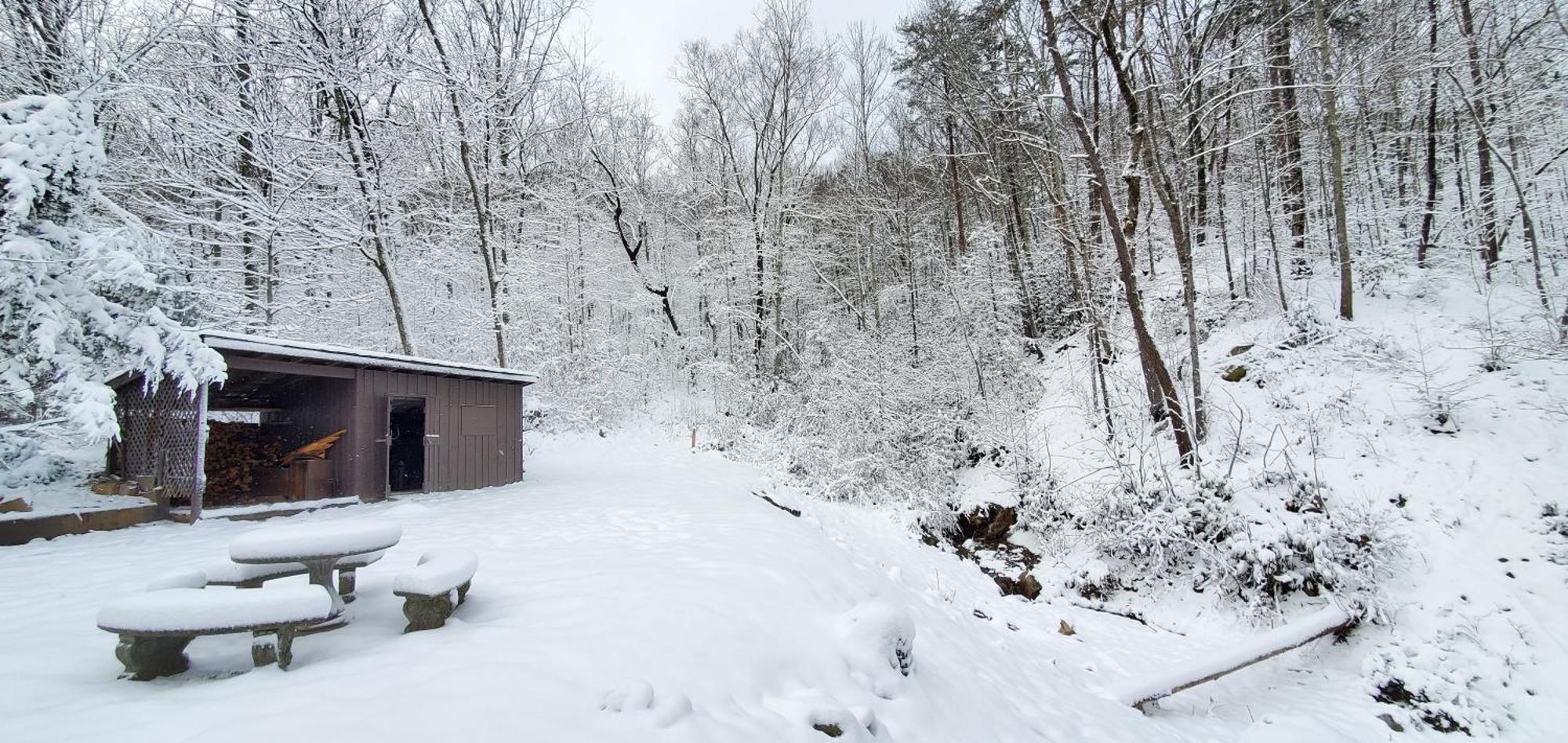 Lazy Bear Cabin سيفيرفيل المظهر الخارجي الصورة