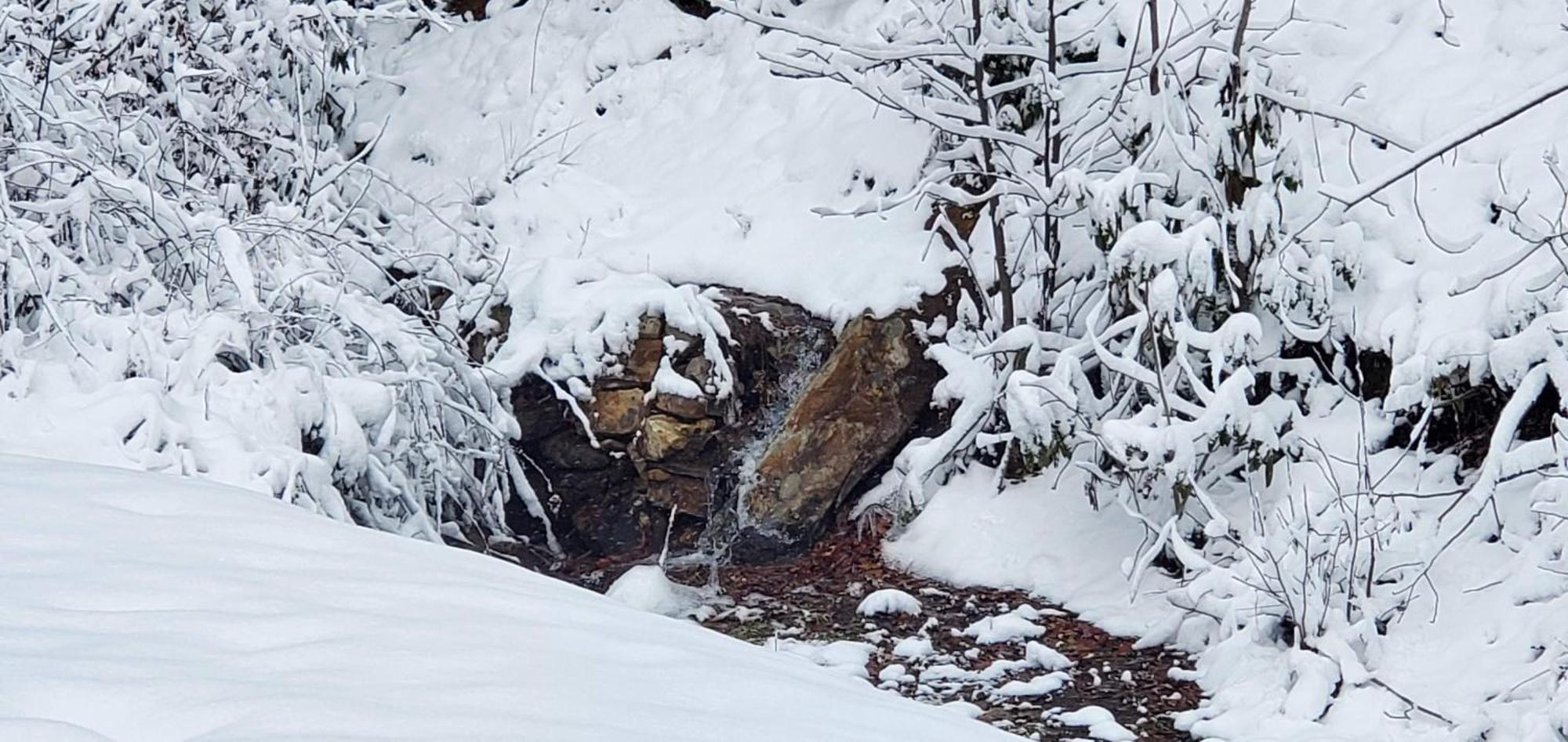 Lazy Bear Cabin سيفيرفيل المظهر الخارجي الصورة